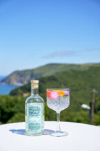 Wicked-Wolf-Gin-on-the-Garden-Terrace-at-Highcliffe-House-200x300